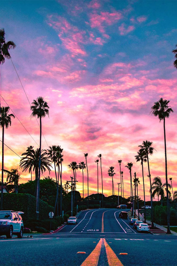 sfondo per iphone,cielo,albero,palma,tramonto,orizzonte