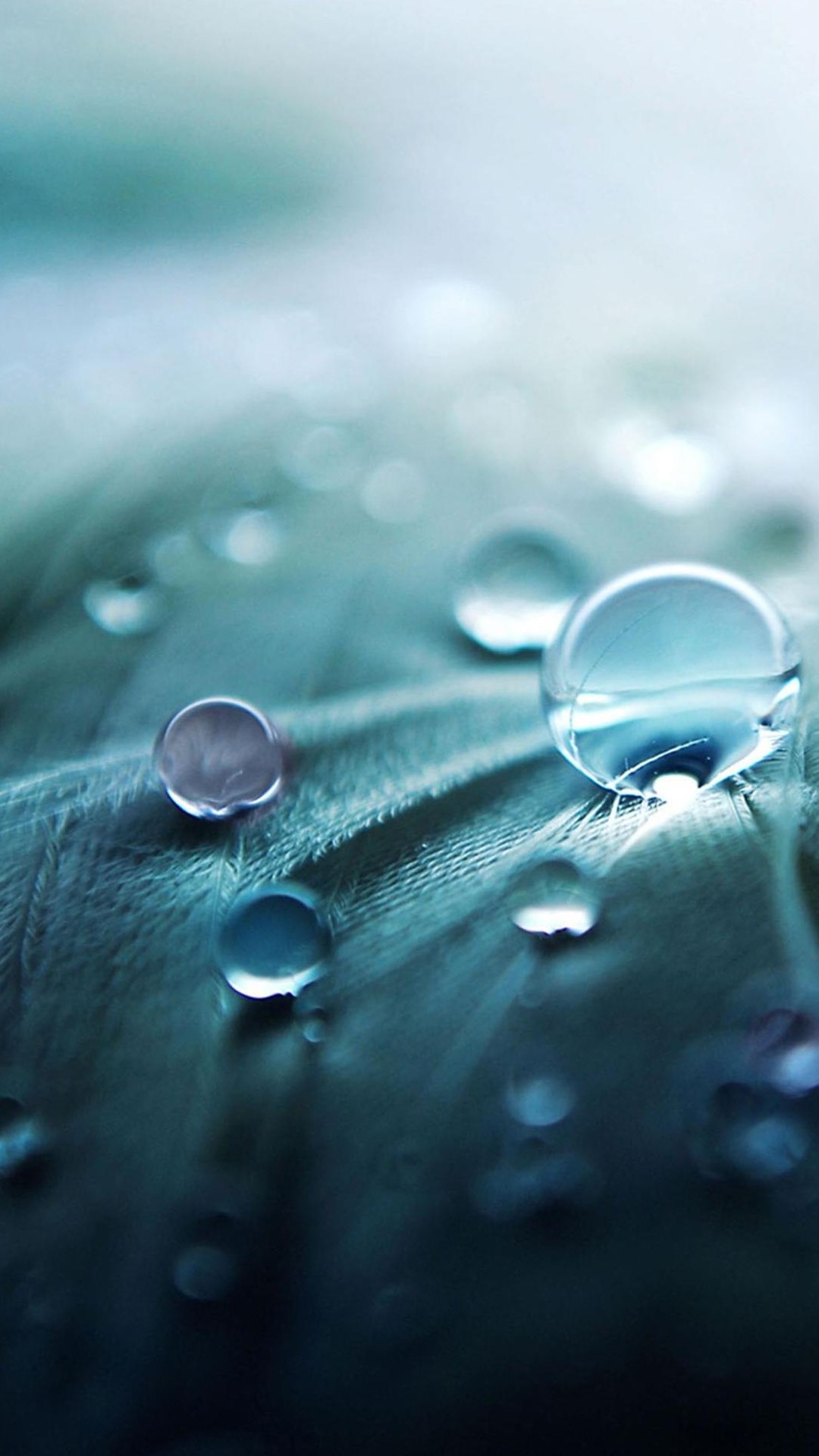 water iphone wallpaper,drop,water,blue,dew,moisture