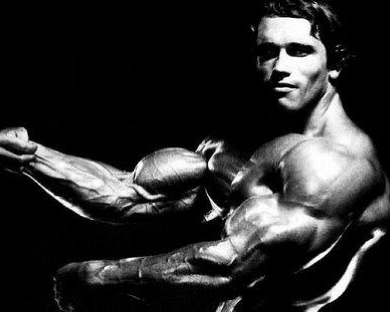 fond d'écran arnold,la musculation,bodybuilder,poitrine,corps humain,forme physique