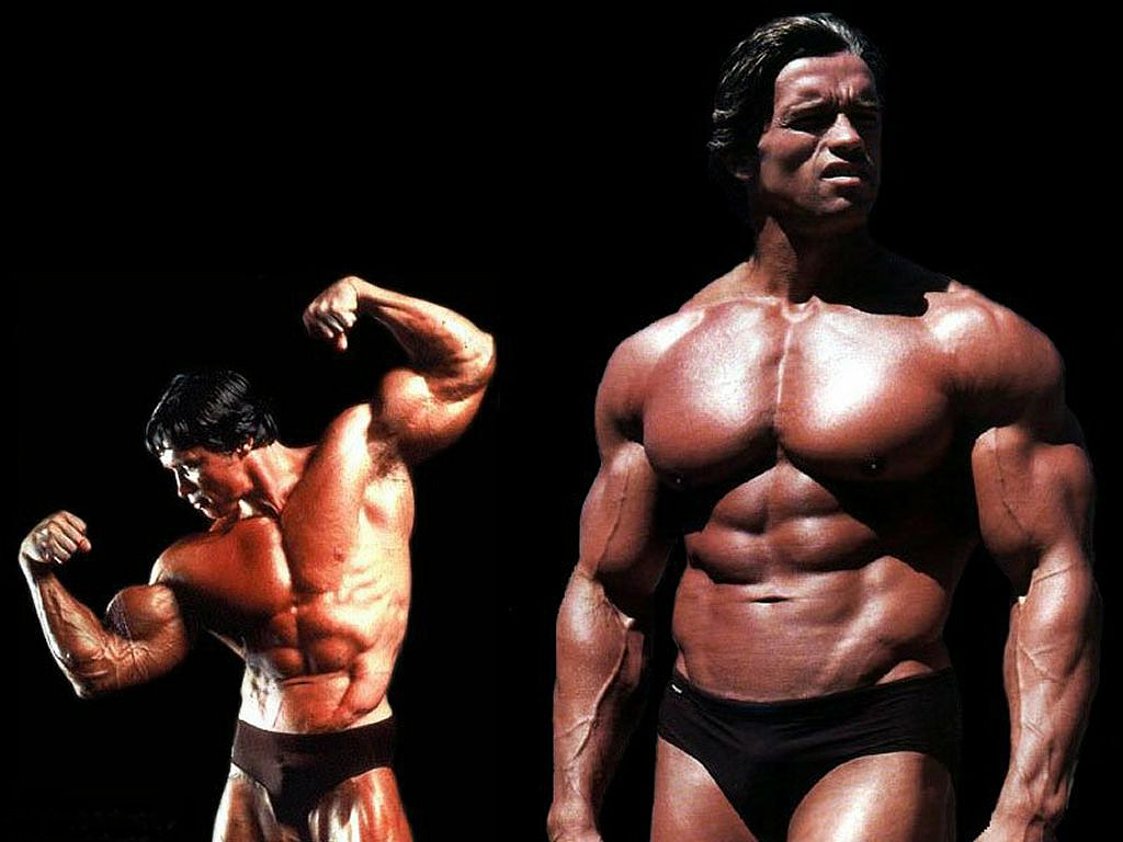 fond d'écran arnold,bodybuilder,la musculation,torse nu,forme physique,professionnel du fitness