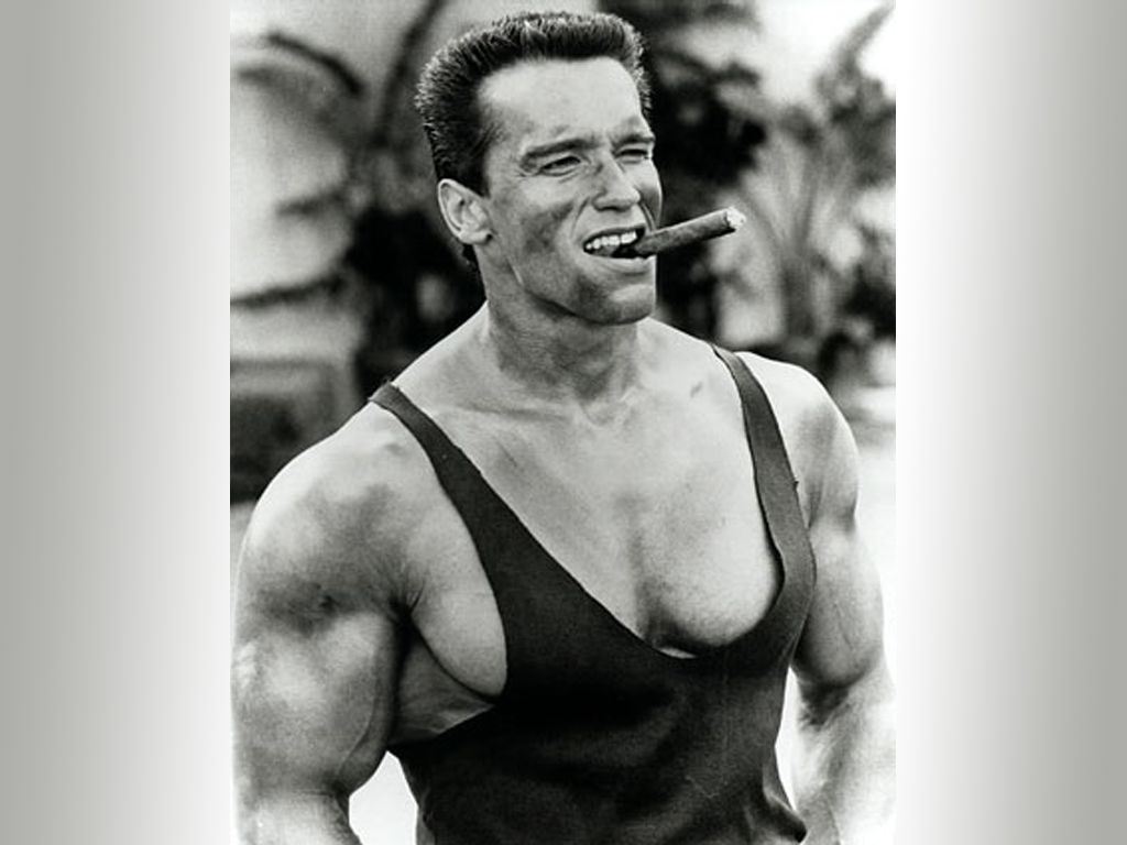 arnold wallpaper,shoulder,bodybuilder,chest,muscle,arm