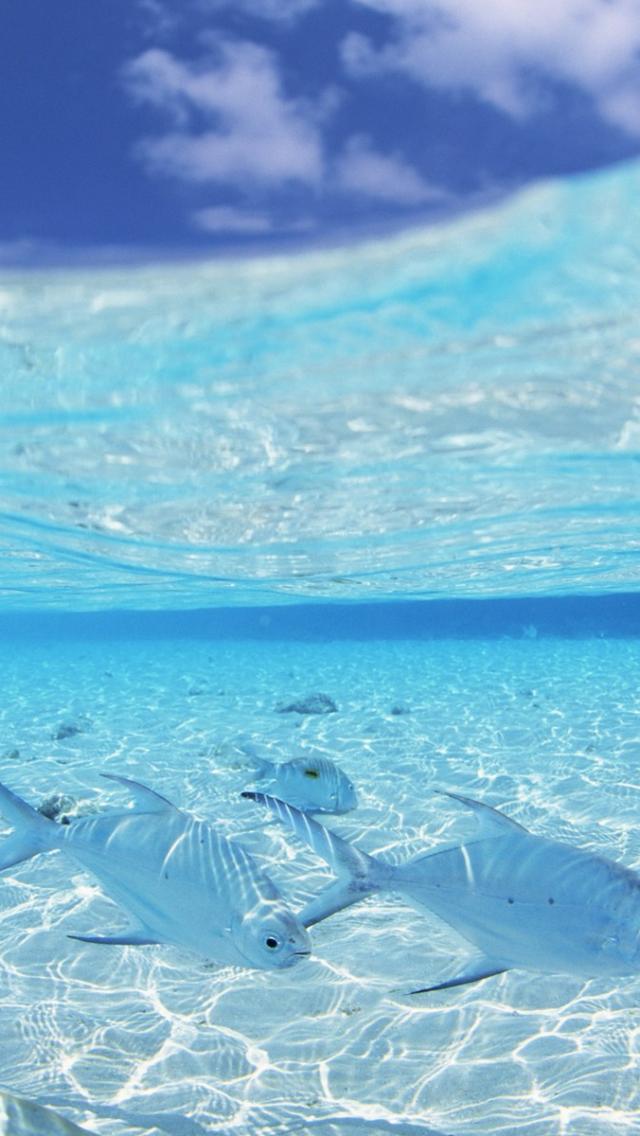 wasser iphone wallpaper,blau,wasser,ozean,himmel,aqua