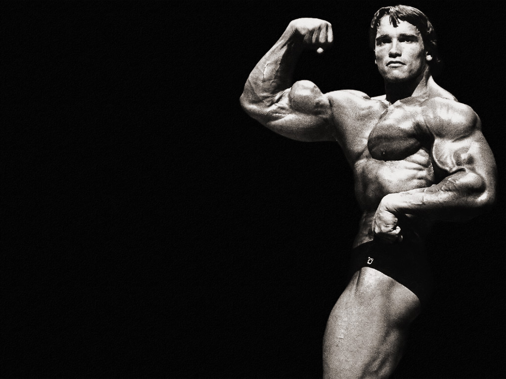 arnold wallpaper,bodybuilder,bodybuilding,muscle,arm,standing