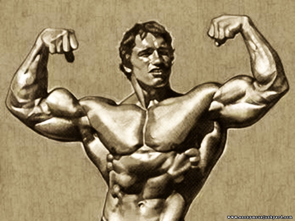 arnold wallpaper,bodybuilder,bodybuilding,muscle,arm,shoulder