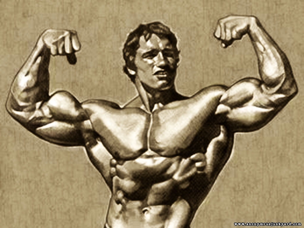 fond d'écran arnold,bodybuilder,la musculation,épaule,poitrine,forme physique