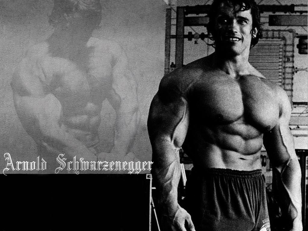 fond d'écran arnold,la musculation,bodybuilder,torse nu,abdomen,permanent