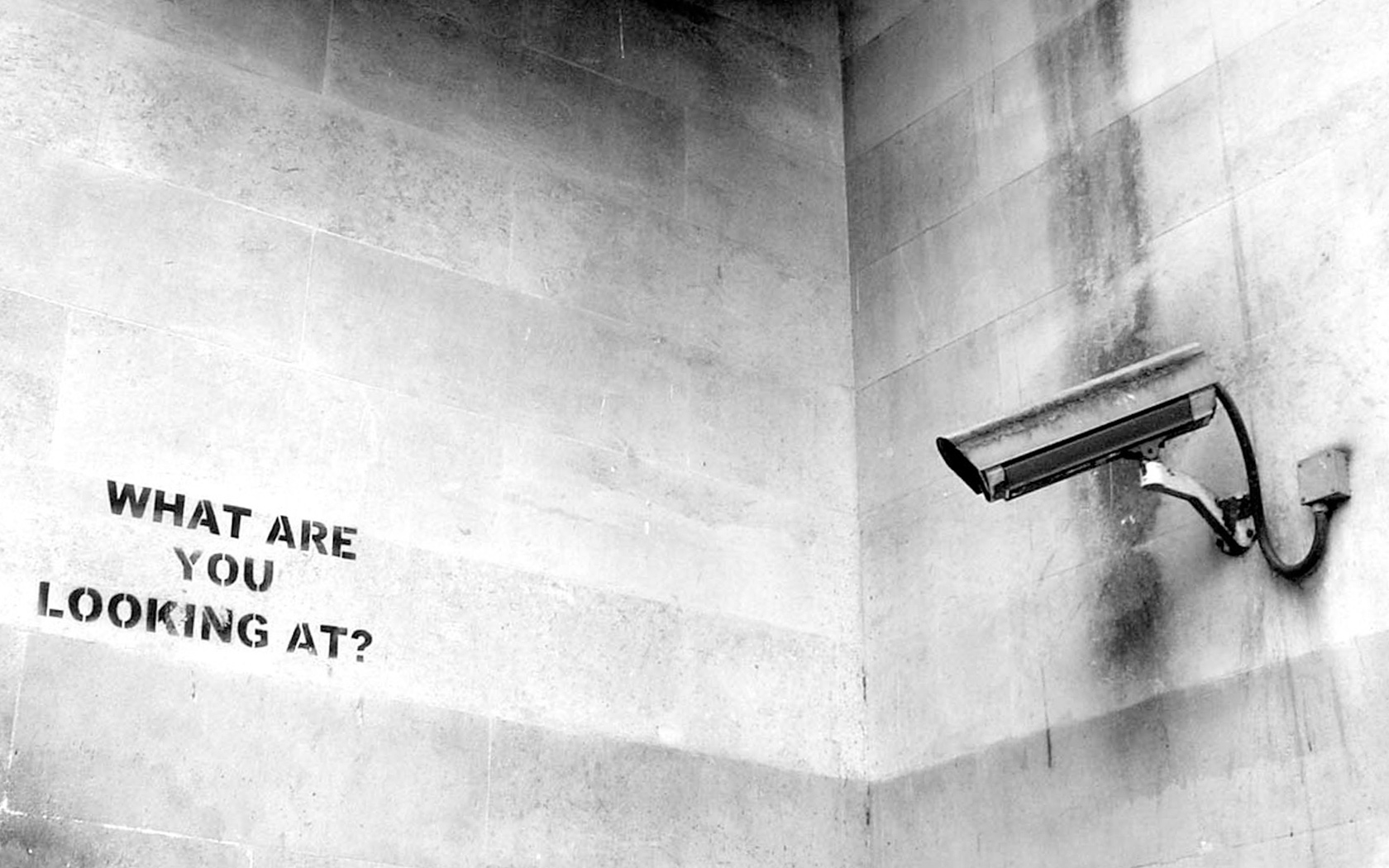 fondo de pantalla de banksy,blanco,pared,en blanco y negro,monocromo,fotografía monocroma