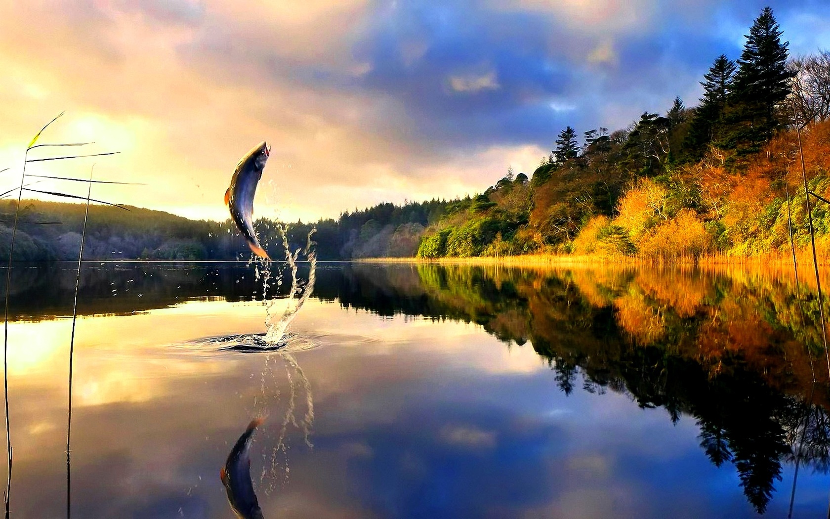 sfondo di sfondo del computer,natura,paesaggio naturale,riflessione,cielo,acqua