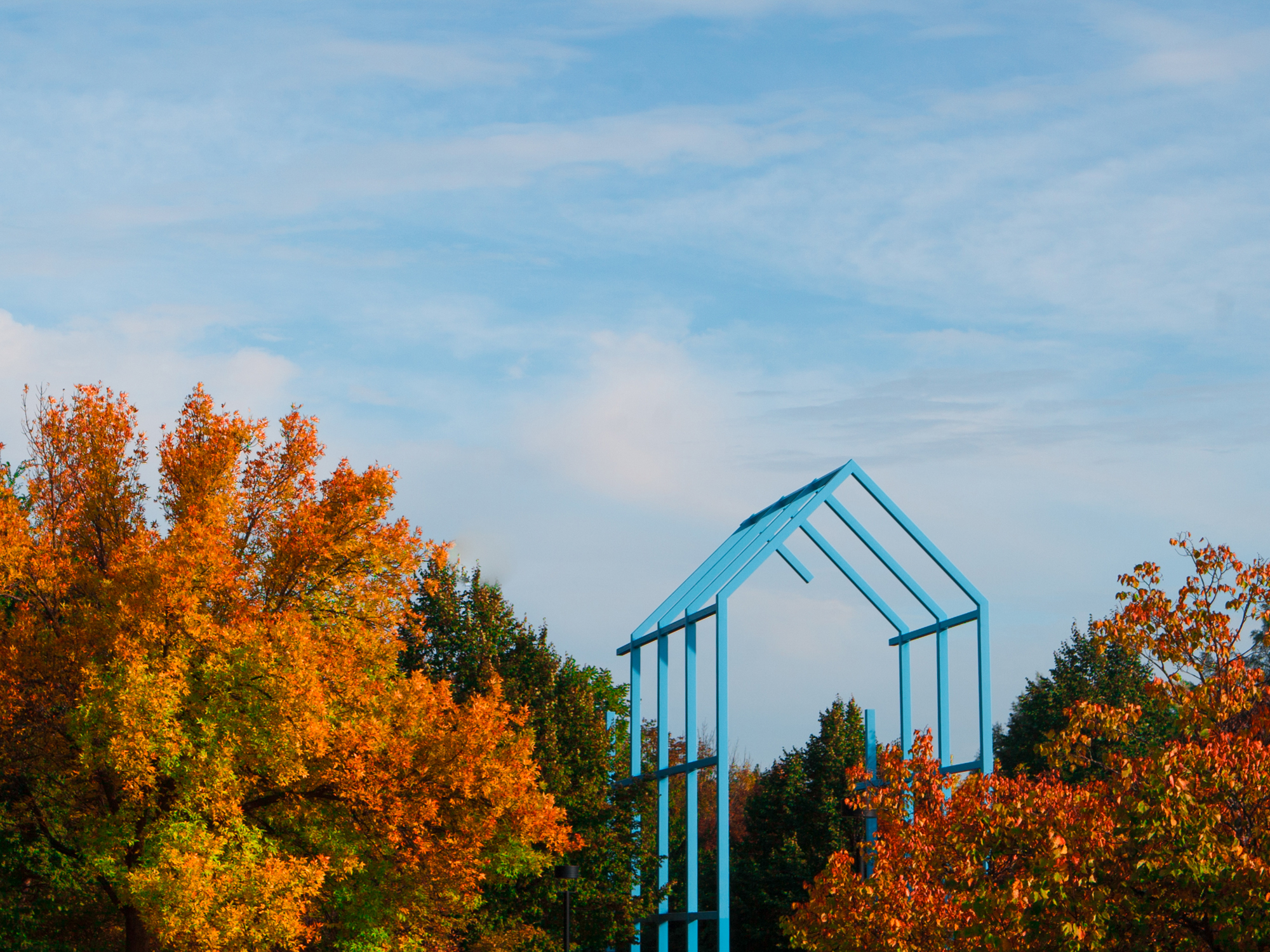 sfondo di sfondo del computer,cielo,foglia,natura,albero,autunno