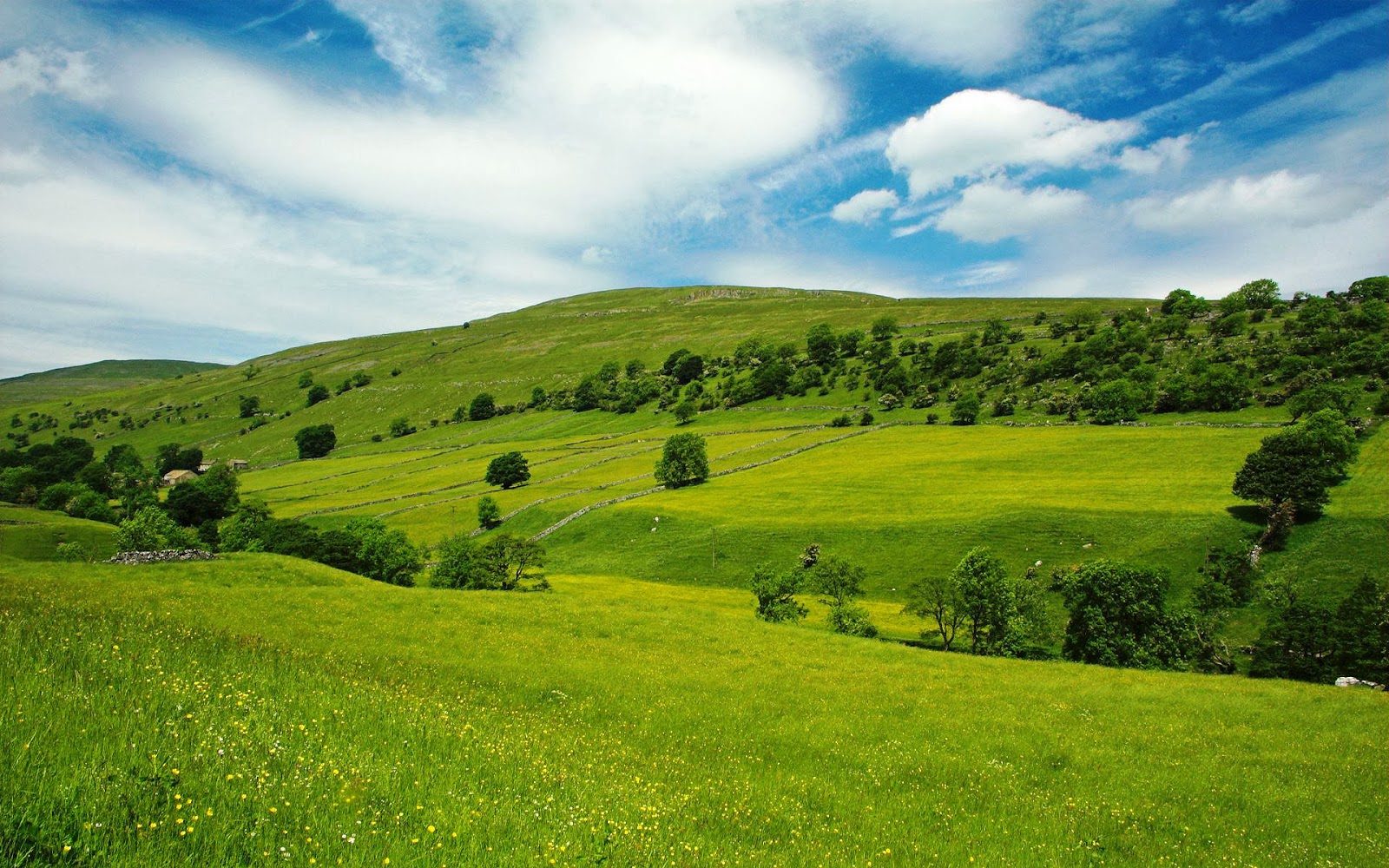 descarga gratuita de fondo de pantalla de naturaleza,pradera,paisaje natural,verde,naturaleza,colina
