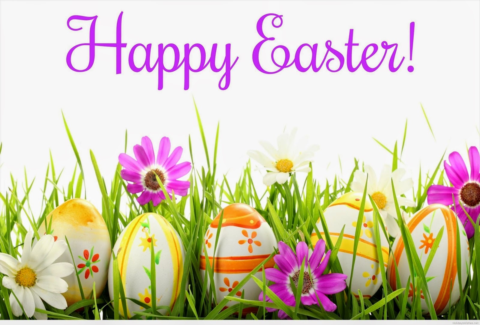 free easter wallpaper,easter,spring,easter egg,flower,plant