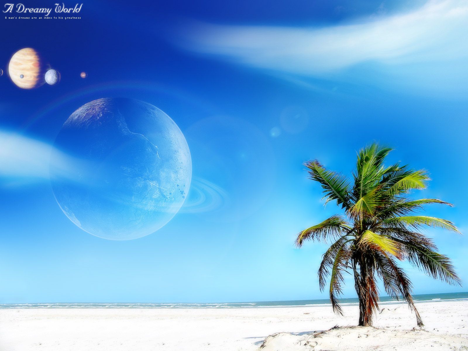 high definition wallpapers,sky,nature,natural landscape,palm tree,daytime