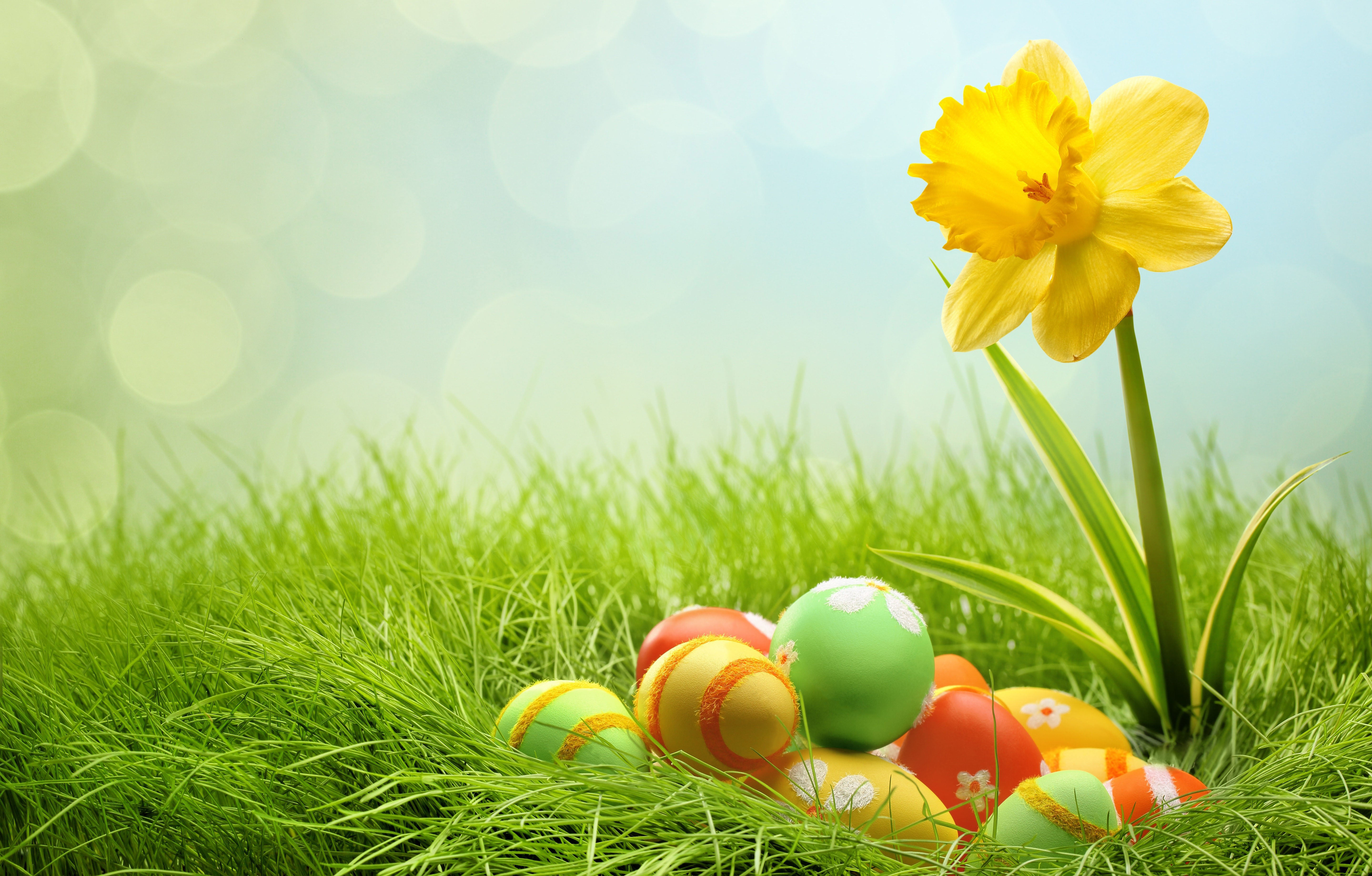 free easter wallpaper,people in nature,grass,easter egg,yellow,easter