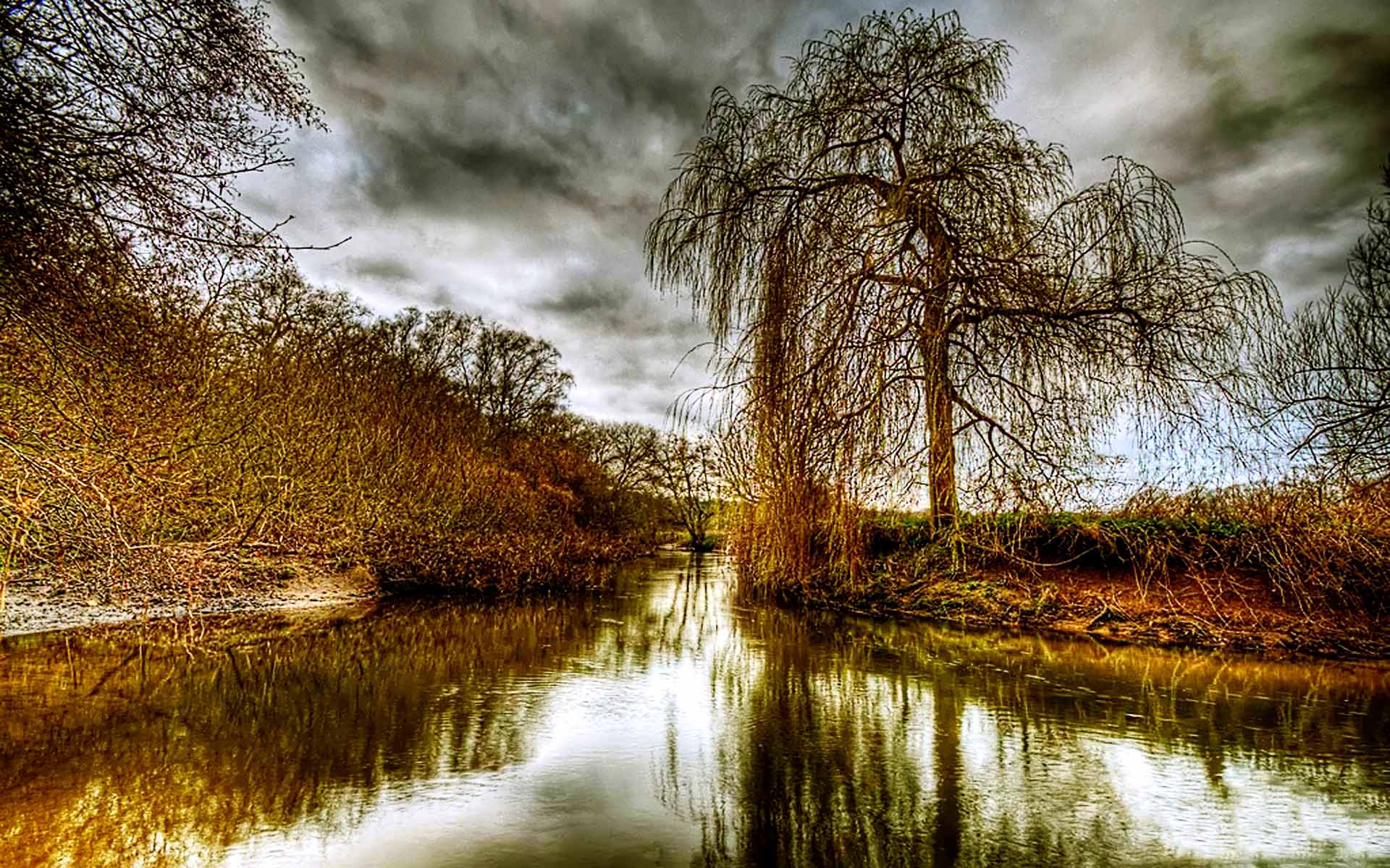 高解像度の壁紙,自然の風景,自然,木,水,反射