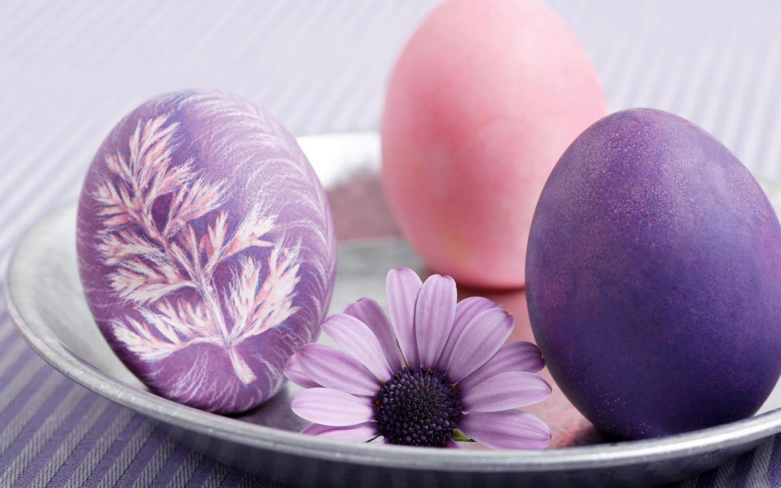 papel tapiz de pascua gratis,violeta,púrpura,huevo de pascua,huevo,pétalo