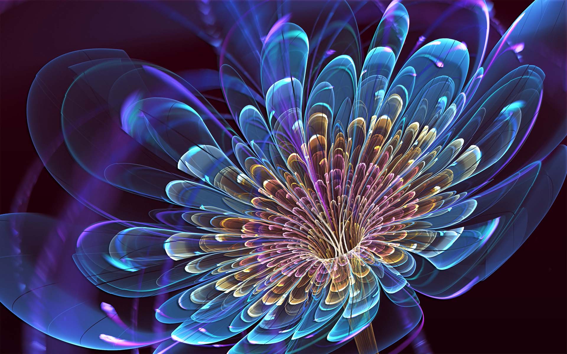 fond d'écran fleur hd téléchargement gratuit,art fractal,bleu,violet,art,plante