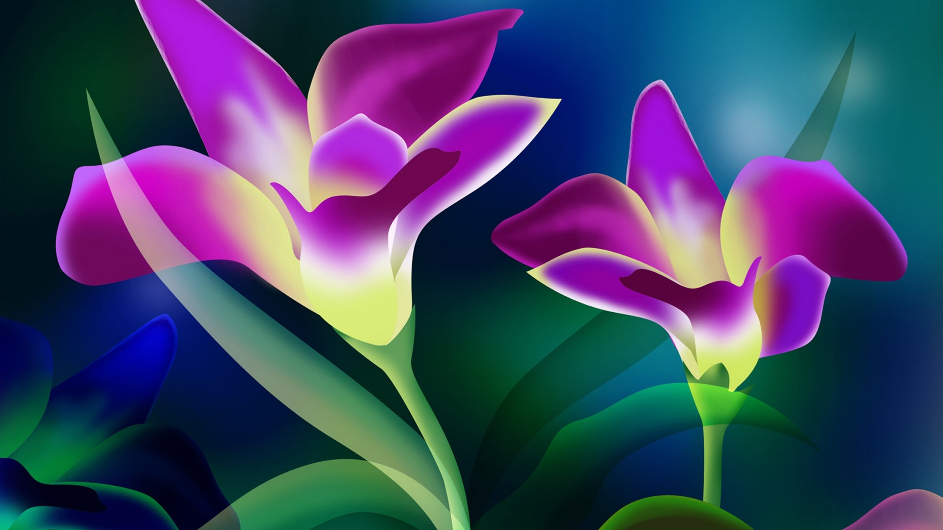flor fondos de pantalla hd descargar gratis,pétalo,flor,púrpura,planta,violeta