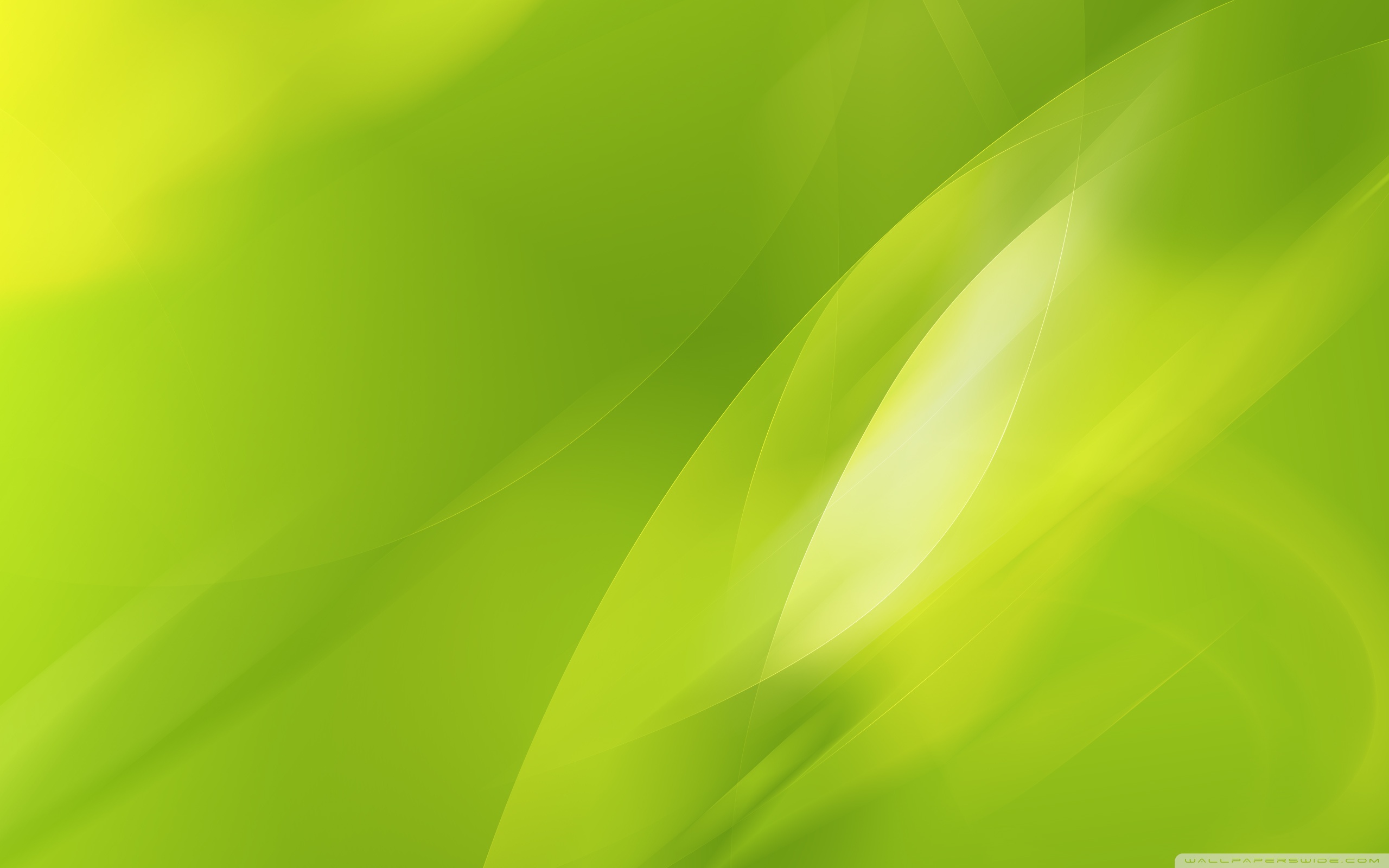 ライムグリーンの壁紙,緑,黄,葉,ライン,工場