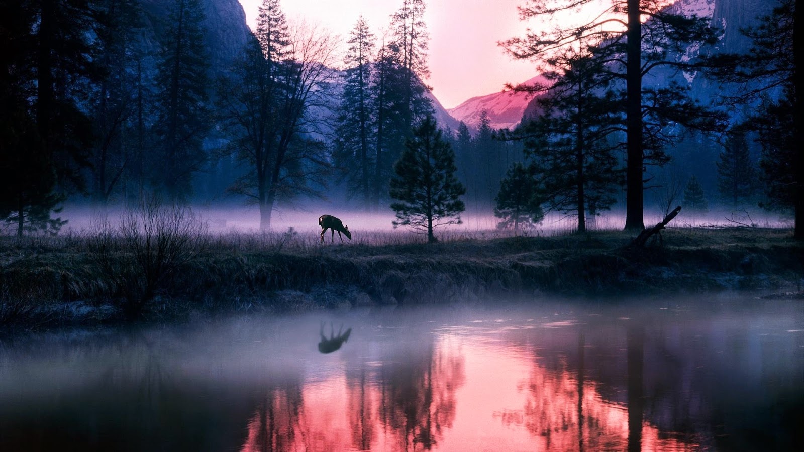 papier peint insolite,paysage naturel,la nature,ciel,réflexion,matin