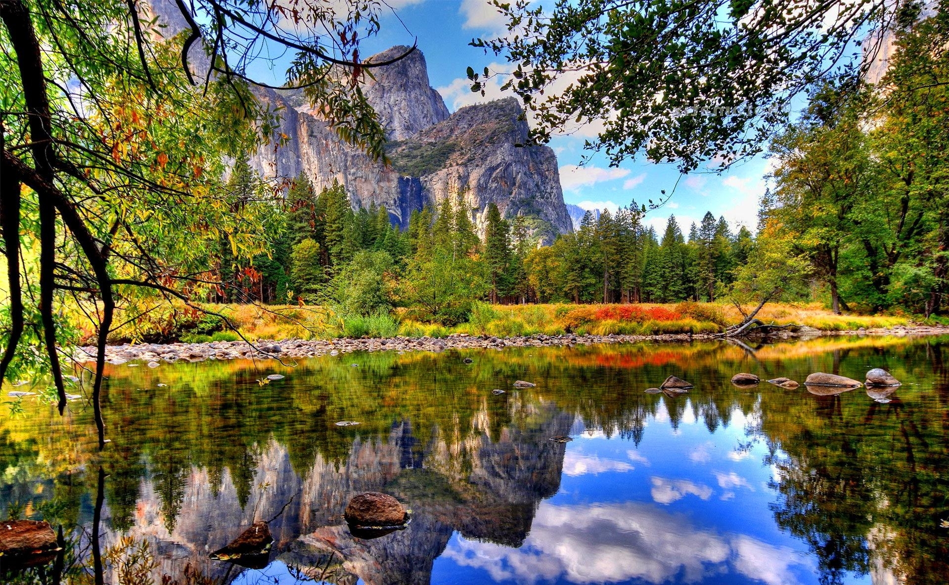 mundo mejor fondo de pantalla hd,paisaje natural,reflexión,naturaleza,árbol,agua