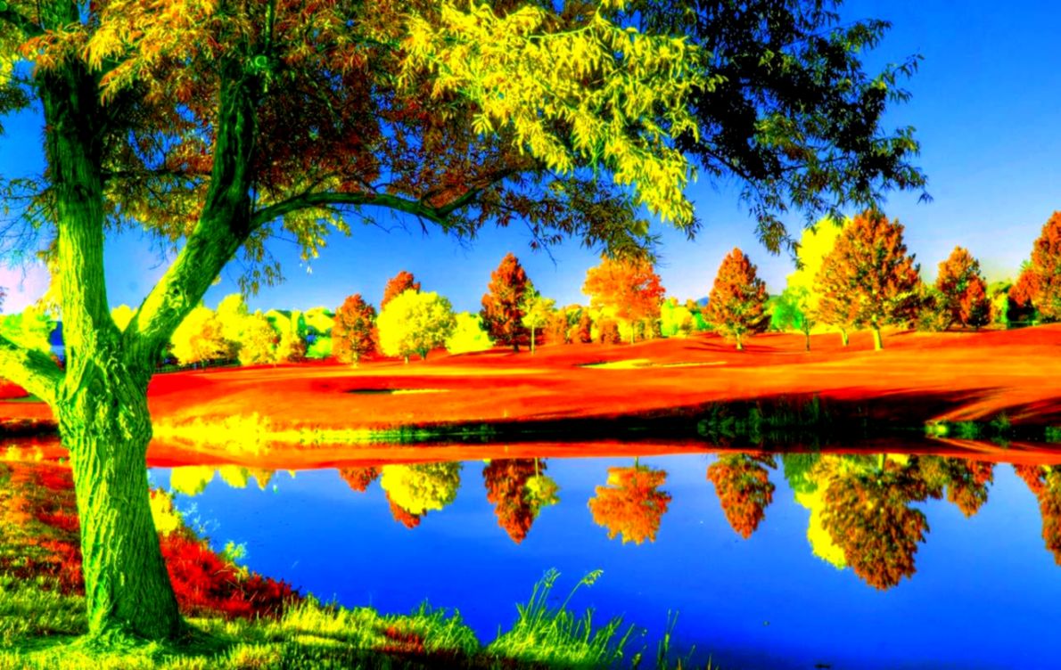 mundo mejor fondo de pantalla hd,reflexión,paisaje natural,naturaleza,cielo,árbol