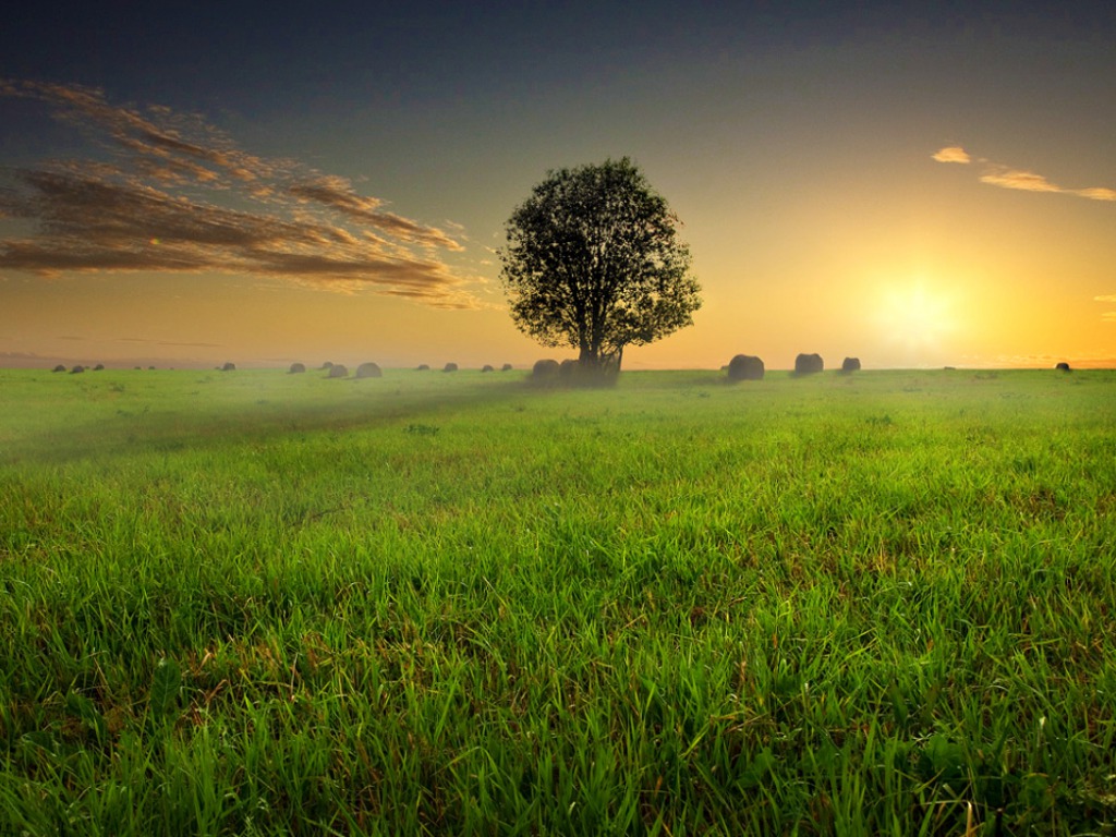 good wallpaper hd,natural landscape,nature,sky,grassland,field