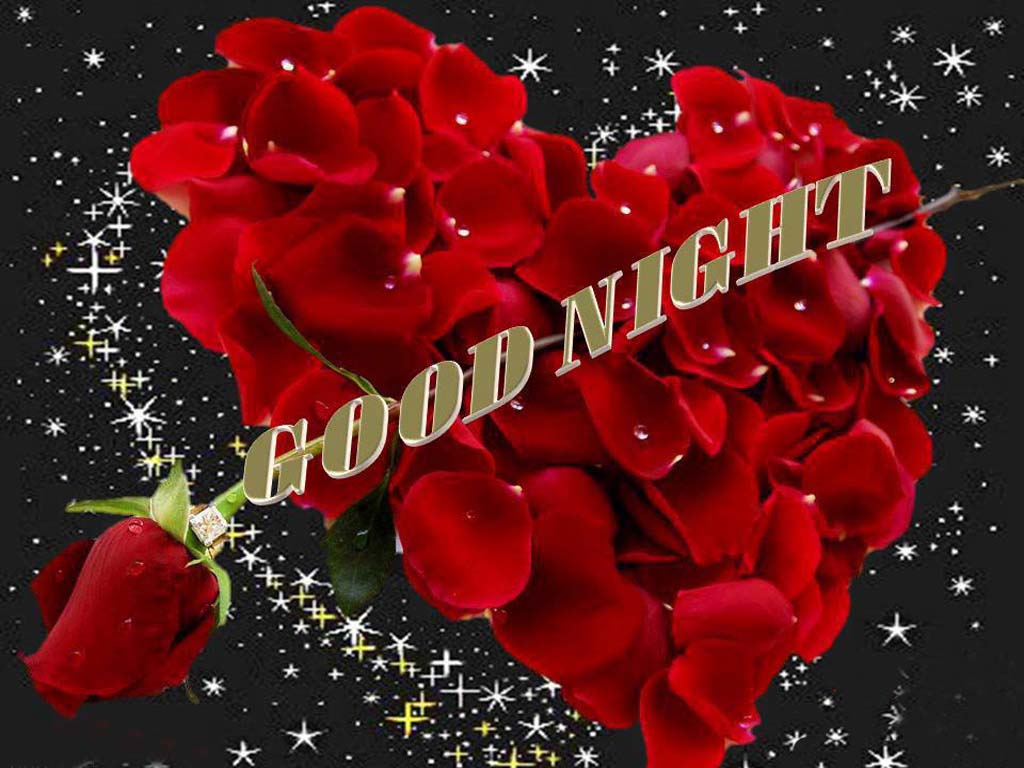 new good night wallpaper,red,petal,valentine's day,love,text