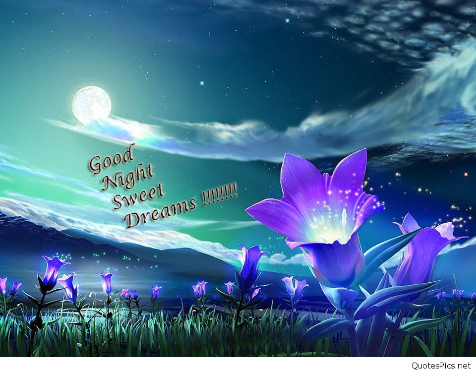 new good night wallpaper,sky,violet,purple,graphic design,flower