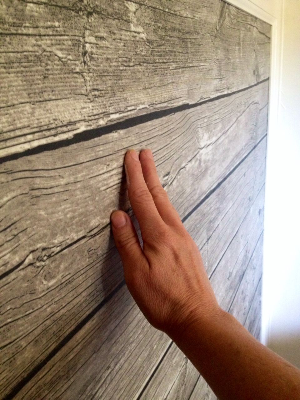 壁紙を見て,木材,広葉樹,壁,手,床