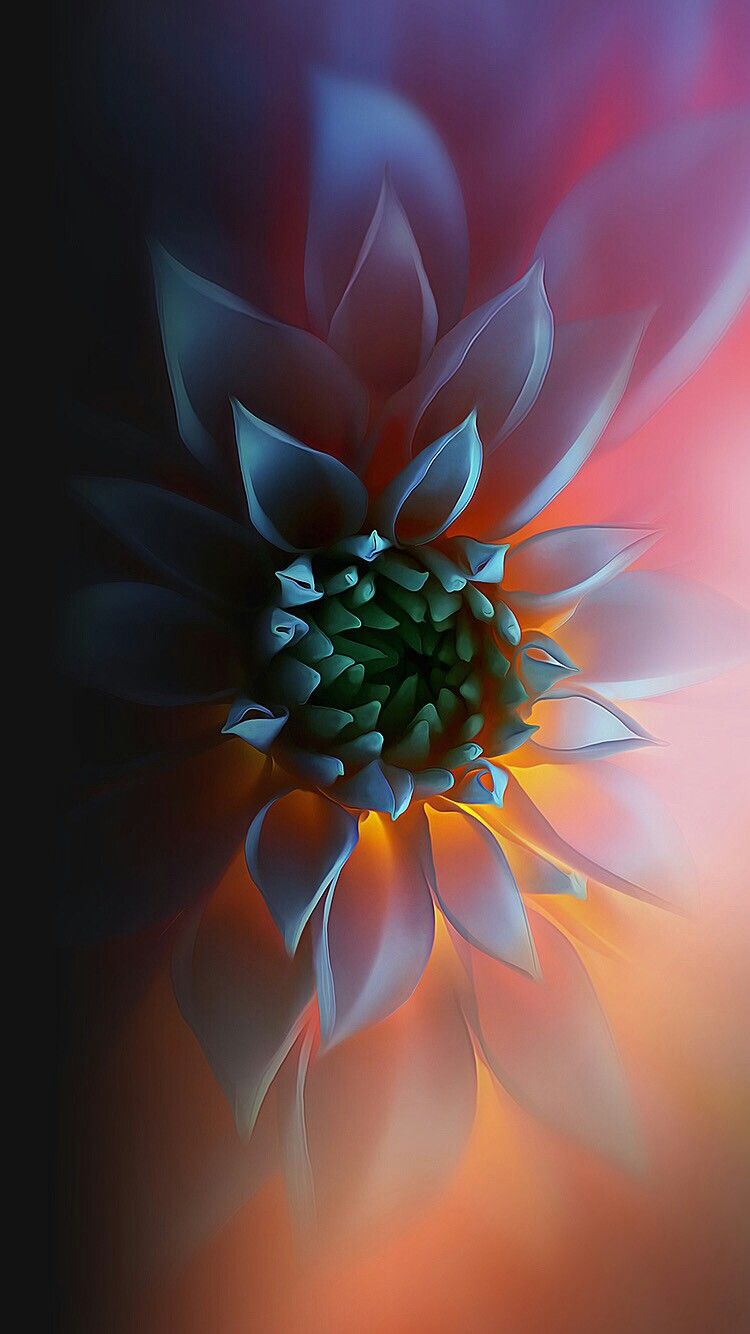 fondo de pantalla hd para teléfono android,arte fractal,pétalo,fotografía macro,flor,de cerca