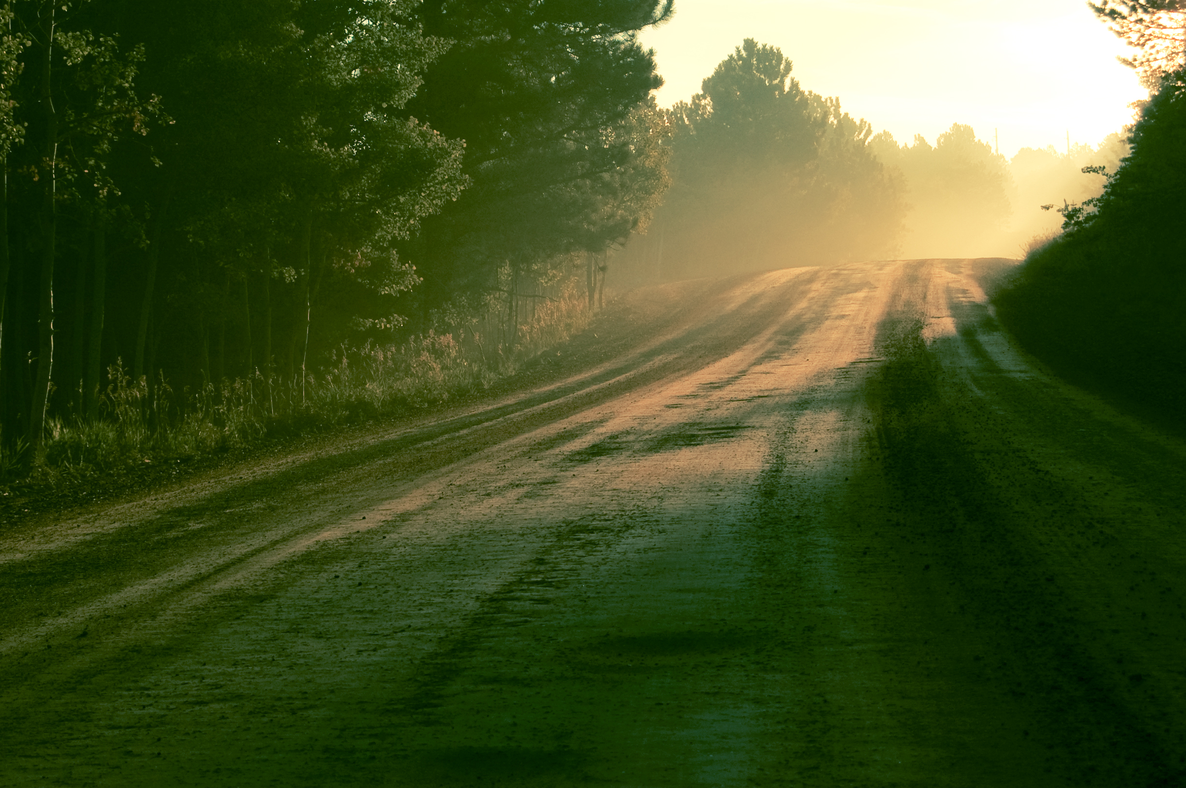 nice wallpaper hd,green,nature,natural landscape,sunlight,sky