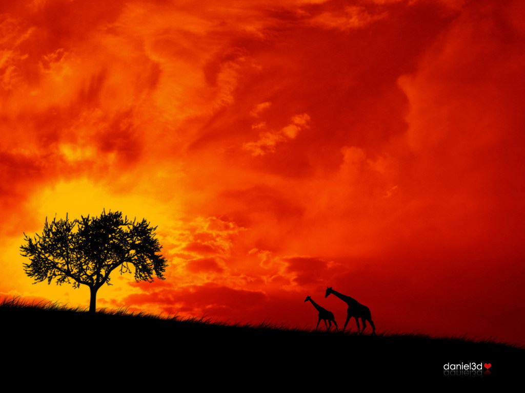 pc desktop wallpaper,sky,red sky at morning,afterglow,nature,sunset