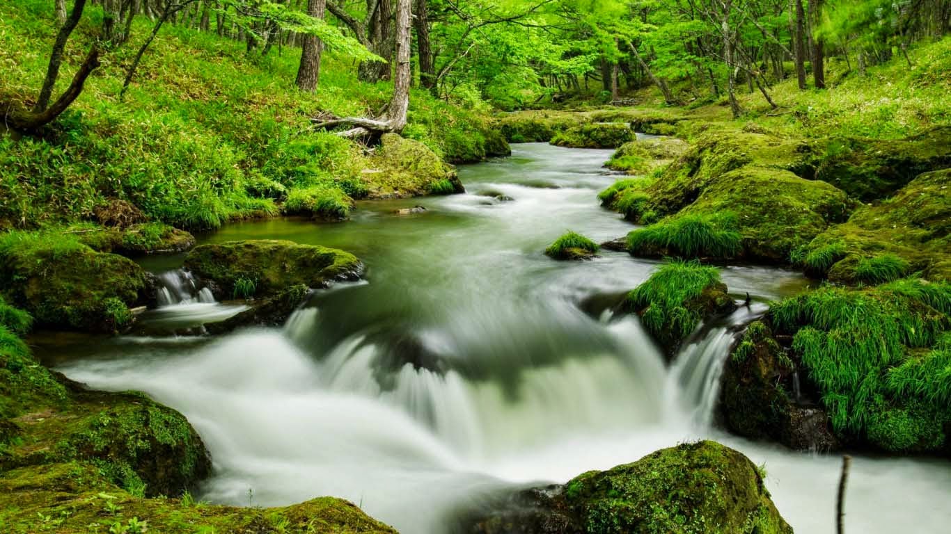 素敵な壁紙のhd,水資源,水域,自然の風景,自然,ストリーム