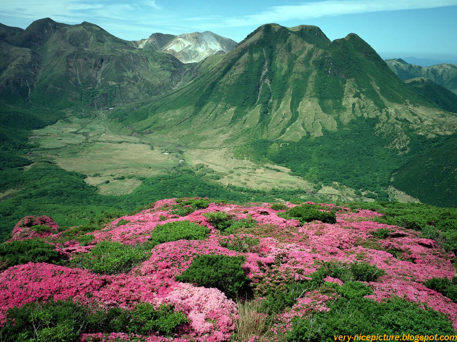 bello sfondo hd,paesaggio naturale,montagna,natura,catena montuosa,fiore