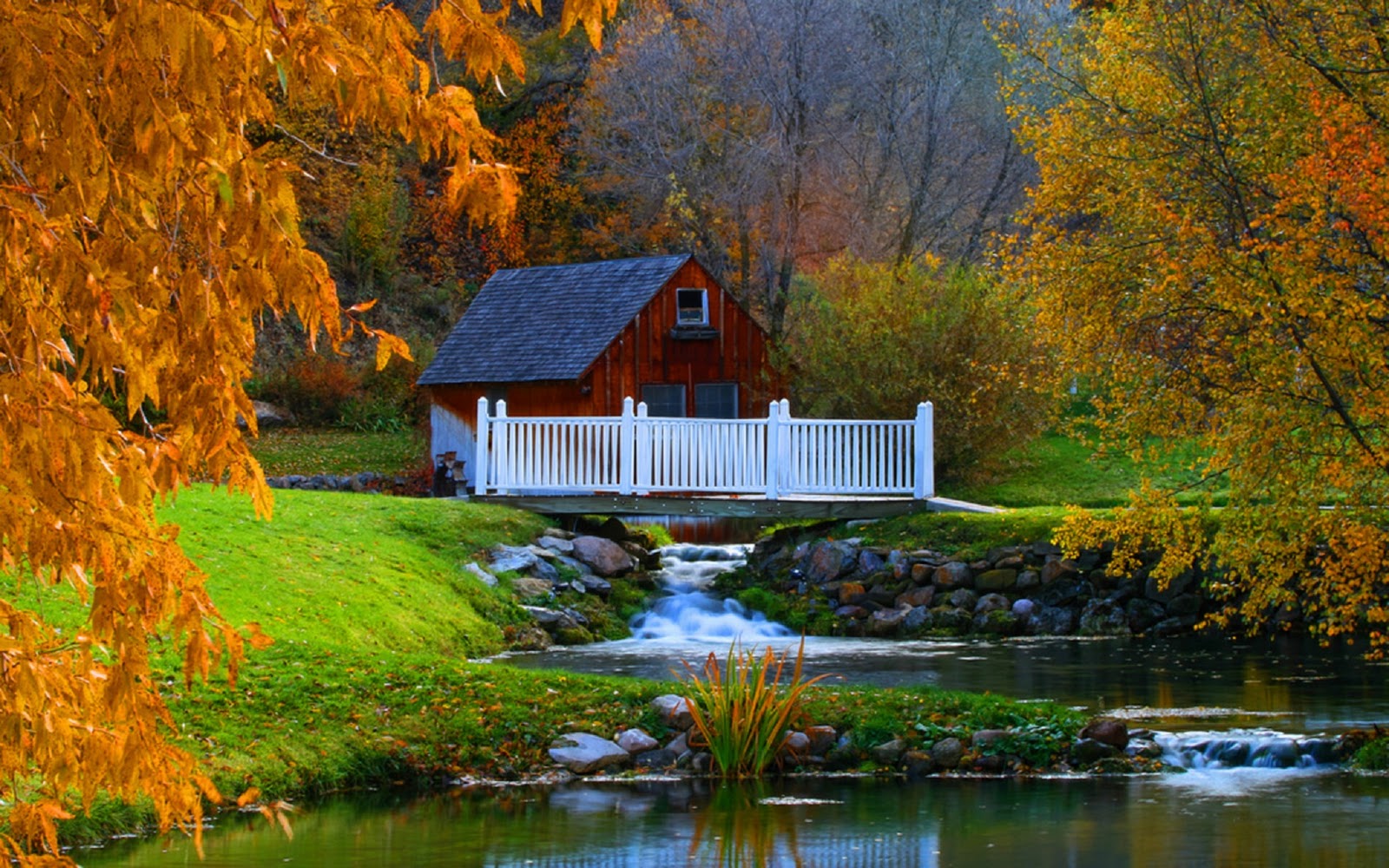 bonito fondo de pantalla hd,paisaje natural,naturaleza,casa,reflexión,árbol