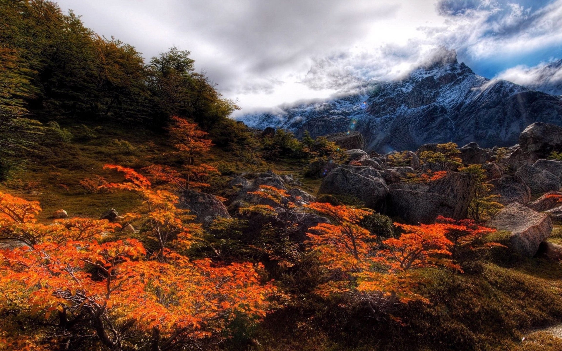sfondo del desktop del pc,paesaggio naturale,natura,cielo,montagna,foglia