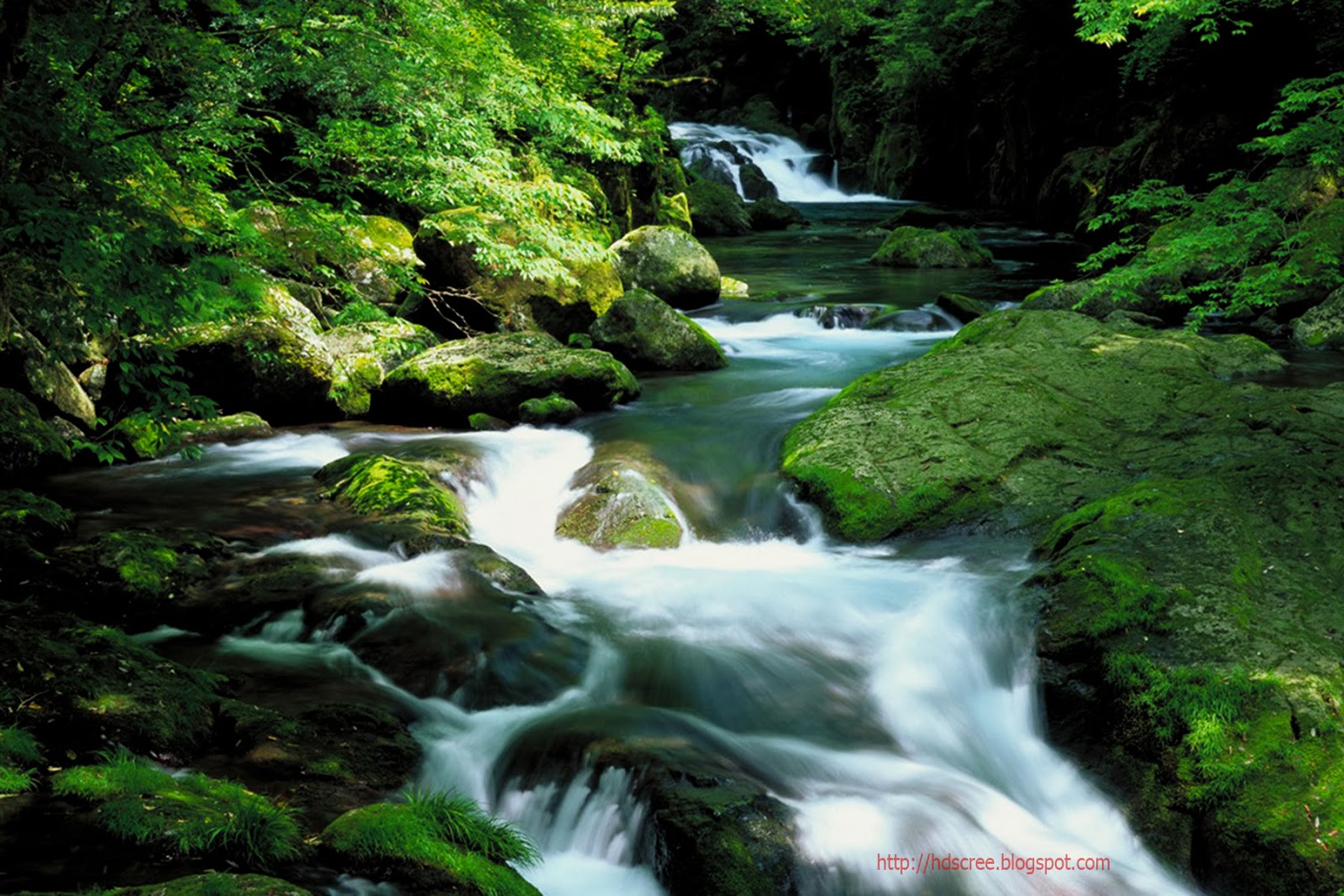 carta da parati molto bella,ruscello,risorse idriche,corpo d'acqua,paesaggio naturale,natura