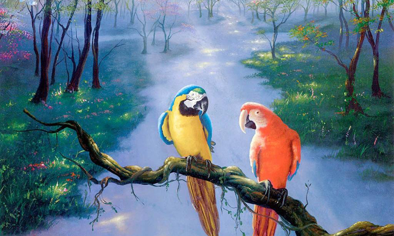 carta da parati molto bella,uccello,ara,pappagallo,natura,paesaggio naturale