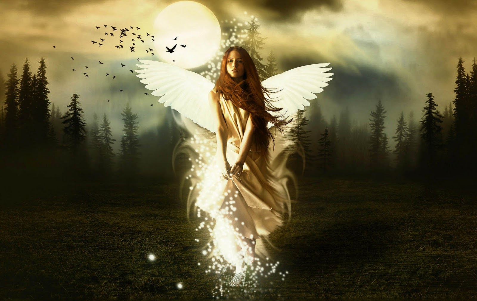 best desktop wallpapers,people in nature,angel,wing,cg artwork,light