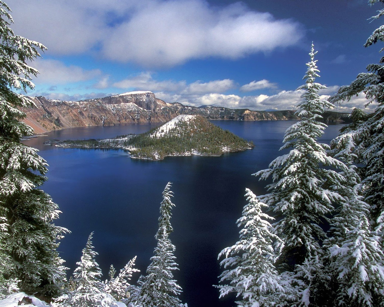 最高のデスクトップの壁紙,larix lyalliisubalpineカラマツ,自然,雪,湖,山