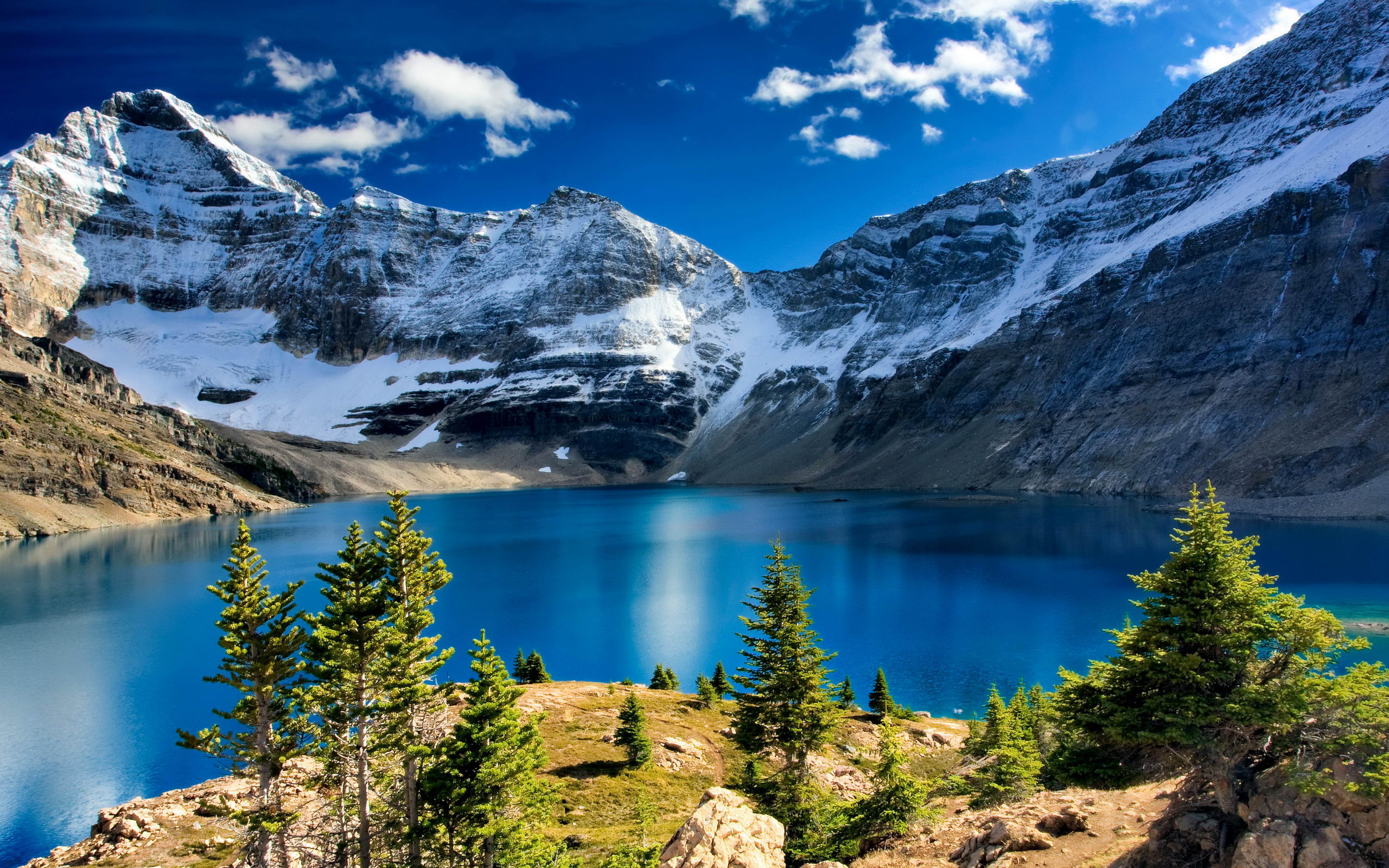 sfondi gratis,montagna,paesaggio naturale,natura,larice larix lyalliisubalpine,lago glaciale