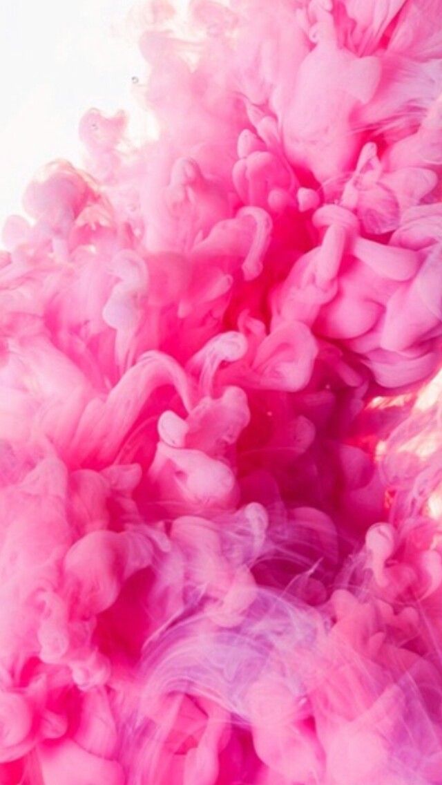 papel tapiz de humo rosa,rosado,pétalo,peonía,textil,planta