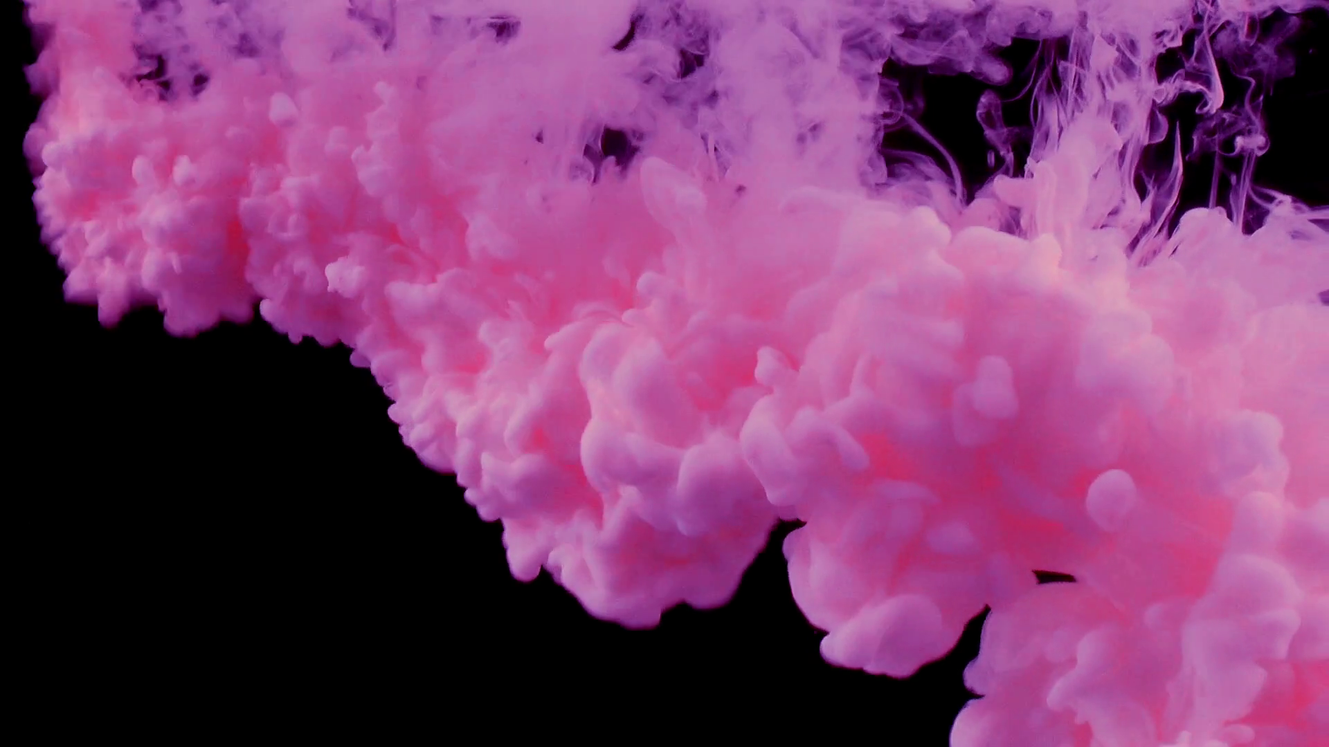 pink smoke wallpaper,pink,violet,purple,petal,magenta