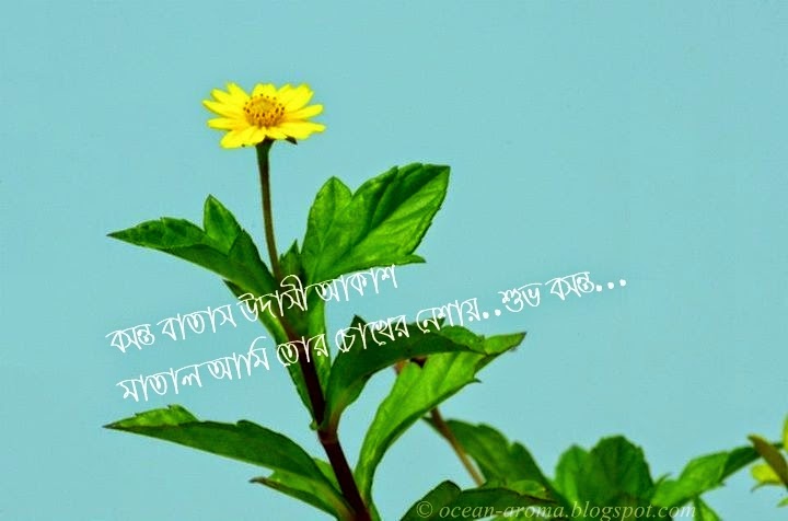 bangla kobita wallpaper download,flower,flowering plant,plant,yellow,leaf