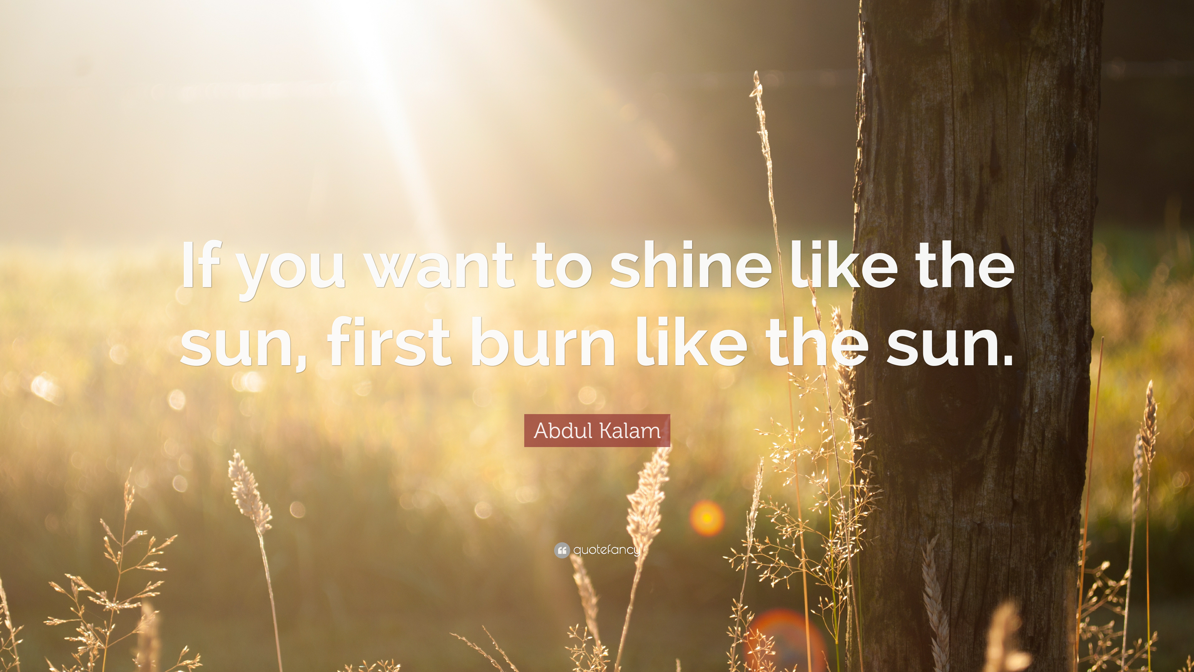 abdul kalam hd wallpaper,natura,luce del sole,testo,leggero,mattina