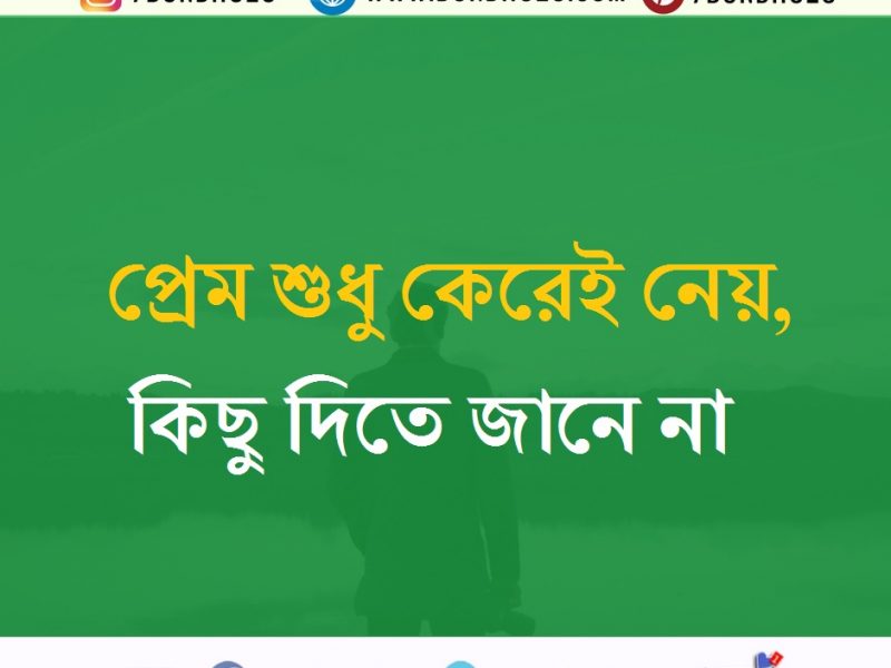 bangla kobita wallpaper download,green,text,font,line,games