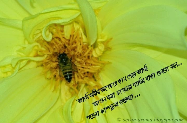 bangla kobita fond d'écran télécharger,jaune,abeille,fleur,abeille,plante