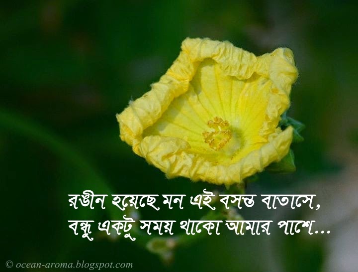 bangla kobita wallpaper download,yellow,flower,petal,plant,macro photography