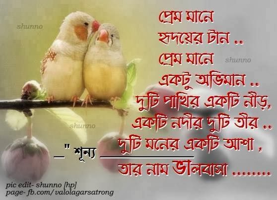 download di sfondi bangla kobita,uccello,testo,didascalia della foto,amicizia,amore
