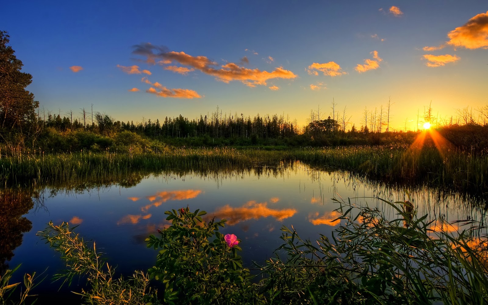 peacefull wallpaper,natural landscape,nature,sky,reflection,natural environment